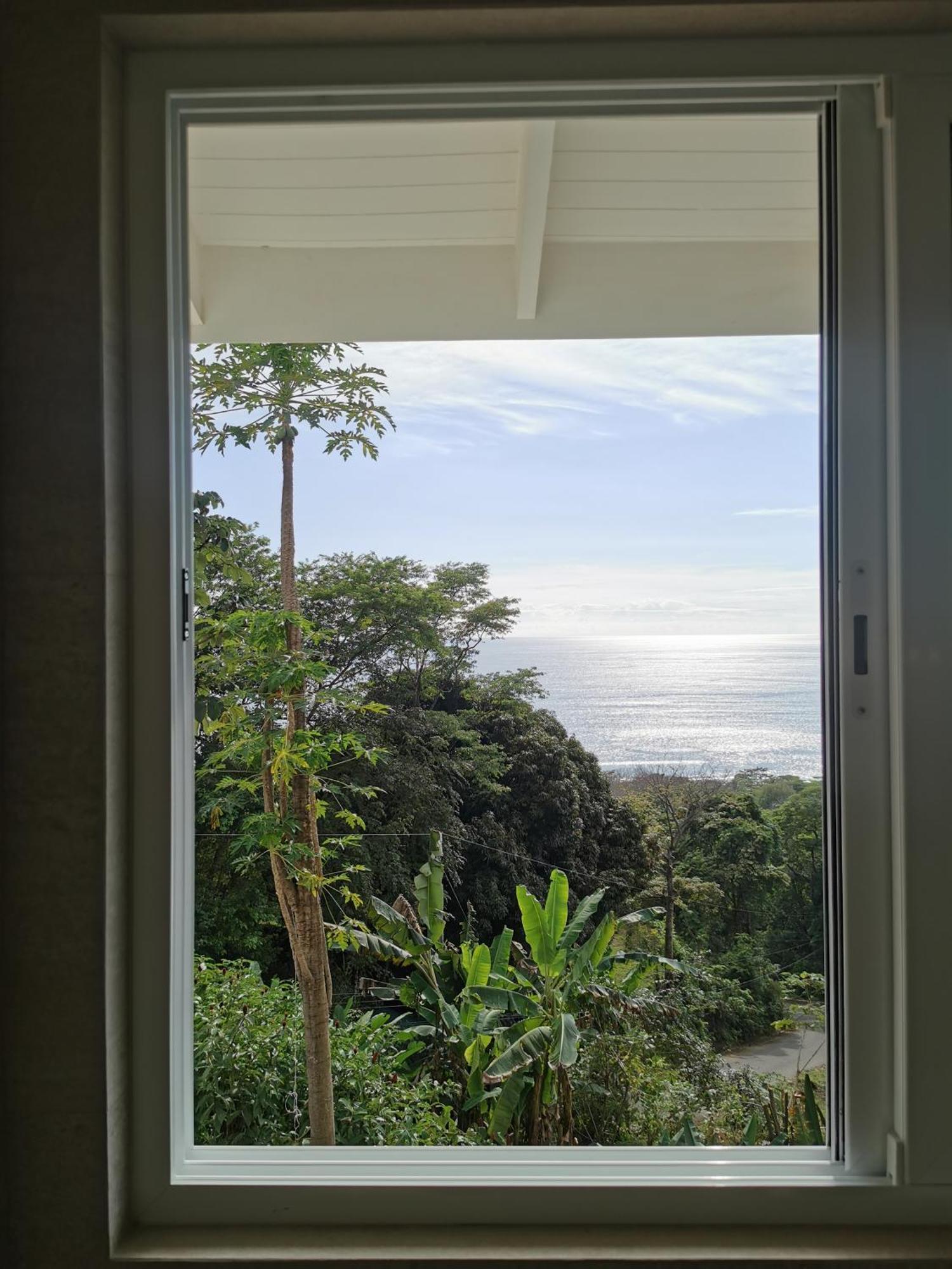 Casa Luna - Private Suites With Ocean View, Pool, Ac, Wifi Playa Santa Teresa  Екстериор снимка