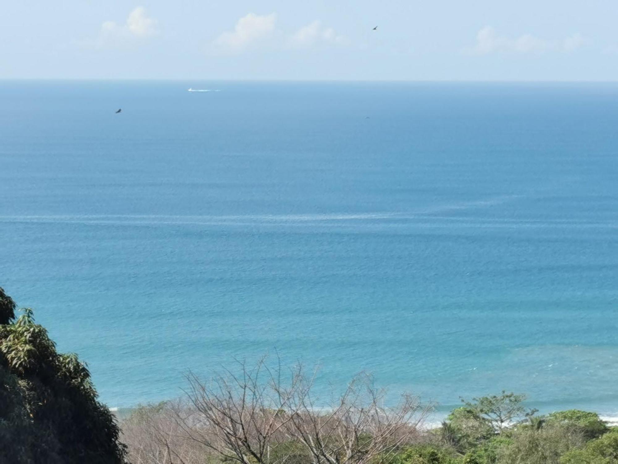 Casa Luna - Private Suites With Ocean View, Pool, Ac, Wifi Playa Santa Teresa  Екстериор снимка